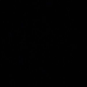 Meet your Posher, Tessa